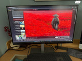 ASUS PA278CV