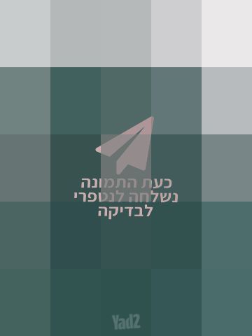 שמלות ערב