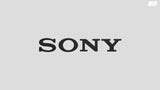 אוזניות Sony WF-1000XM5 TWS