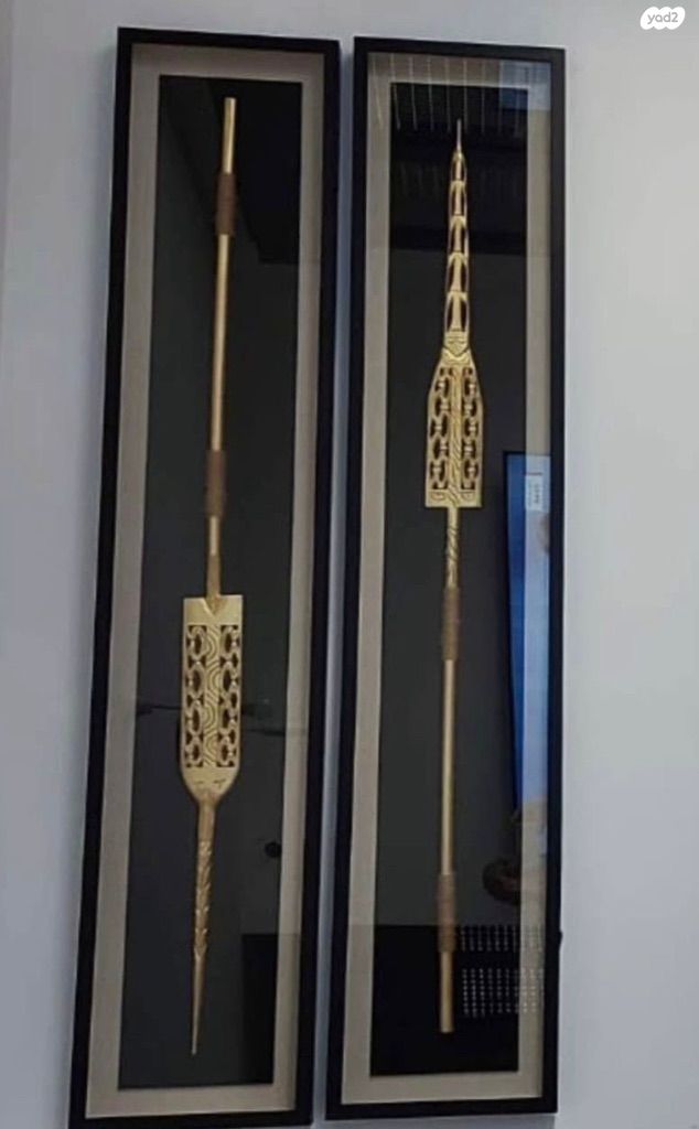 תמונה חנית