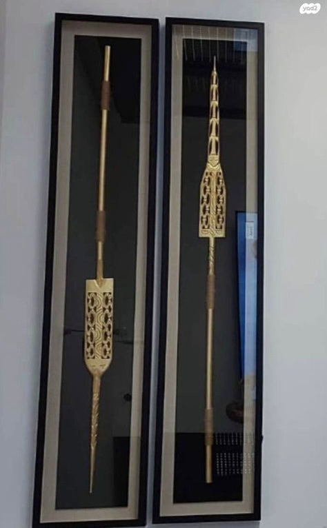 תמונה חנית