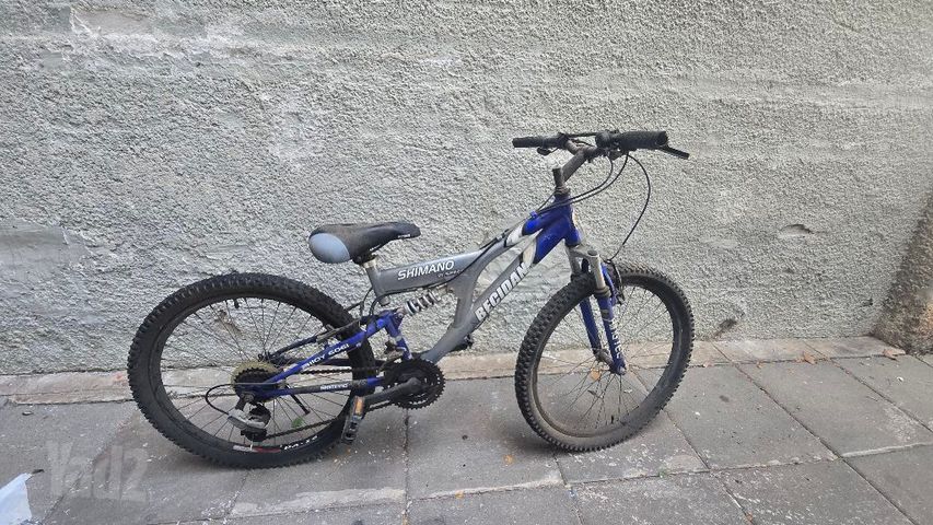 אופניים