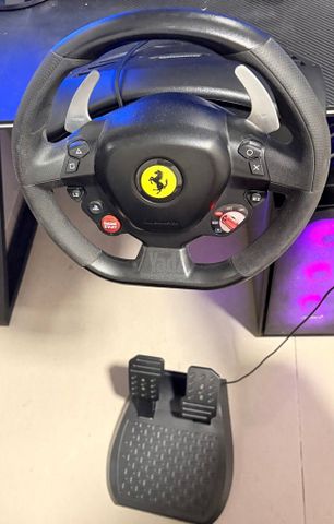 הגה thrustmaster ומשחק