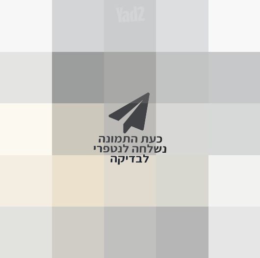 מיקסר מקצועי