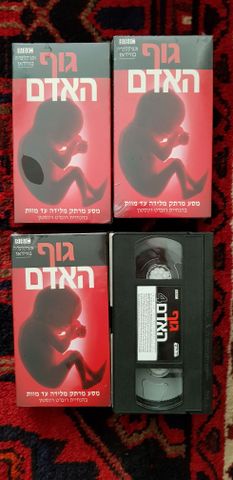 קלטות וידאו
