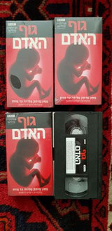 קלטות וידאו