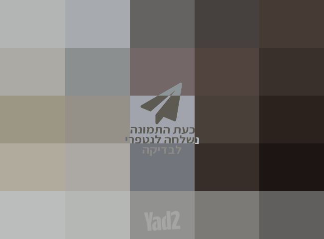 ספה חומה