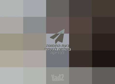 ספה חומה