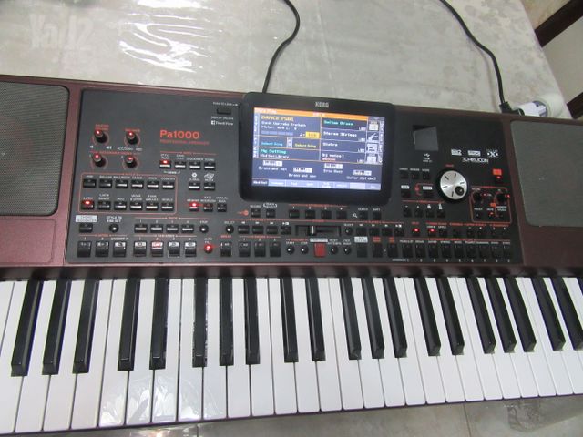 אורגן קורג PA1000
