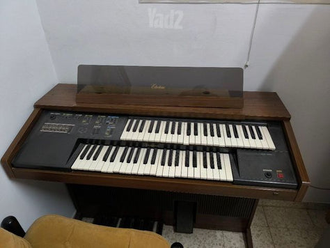 אורגן