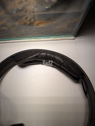 Sennheiser HD25