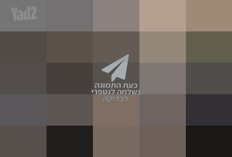ריהוט גן