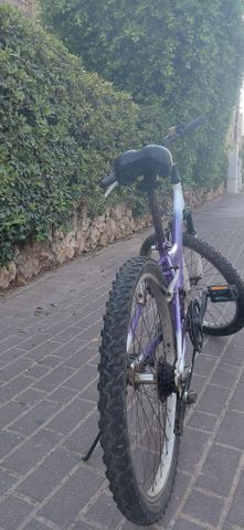 אופניים הרים 24"