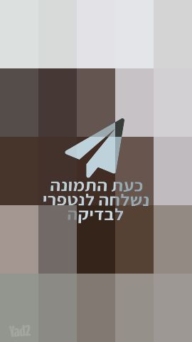 פאה קצרה