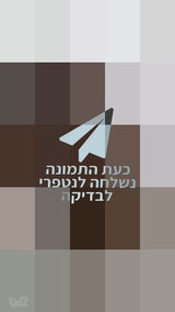 פאה קצרה