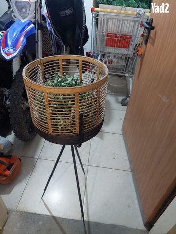 שידה