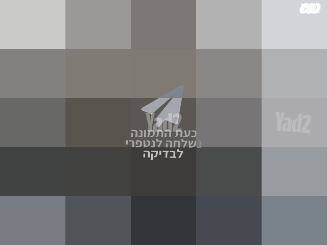 נינגה גריל
