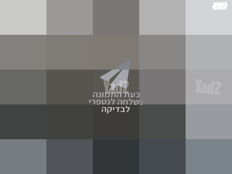 נינגה גריל