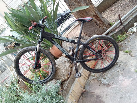 אופני הרים