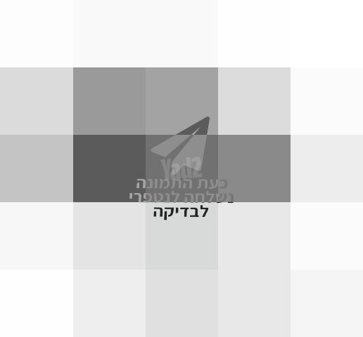 נעלי ריצה נייק
