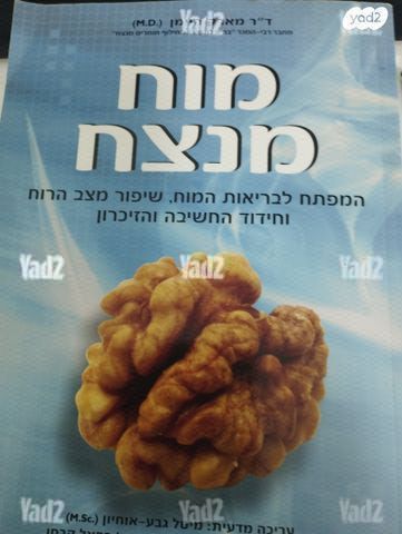 מוח מנצח