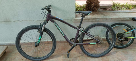 אופני הרים 24"