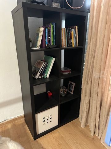 כוורת שחורה