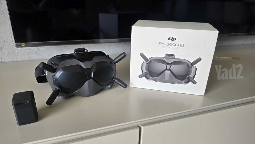 Dji FPV Goggles