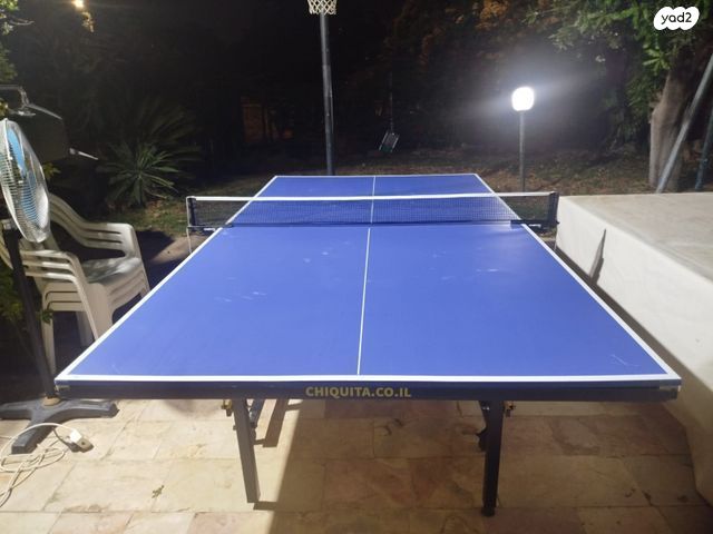 שולחן טניס