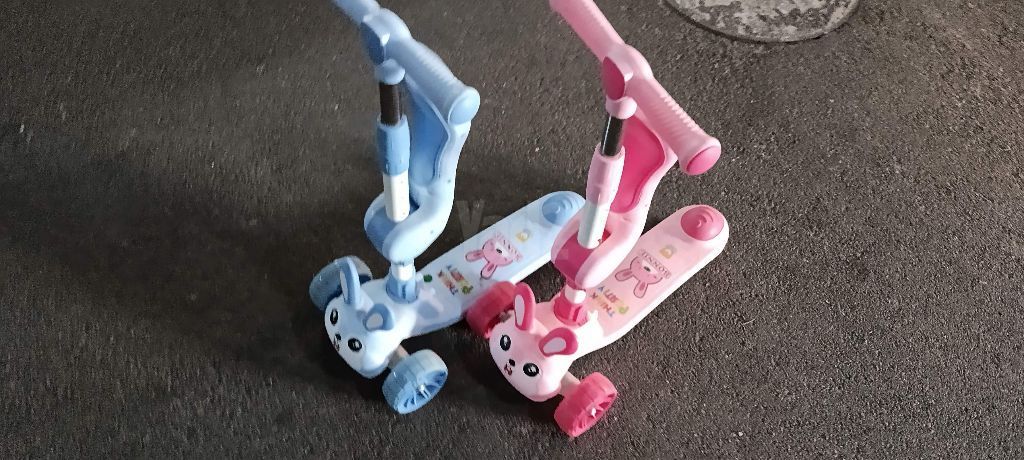 סקטור