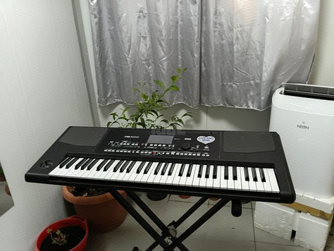 אורגן KORG PA300