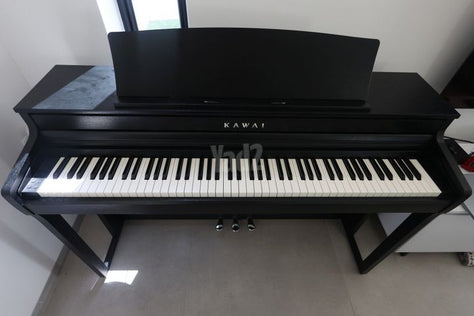 Kawai CA401
