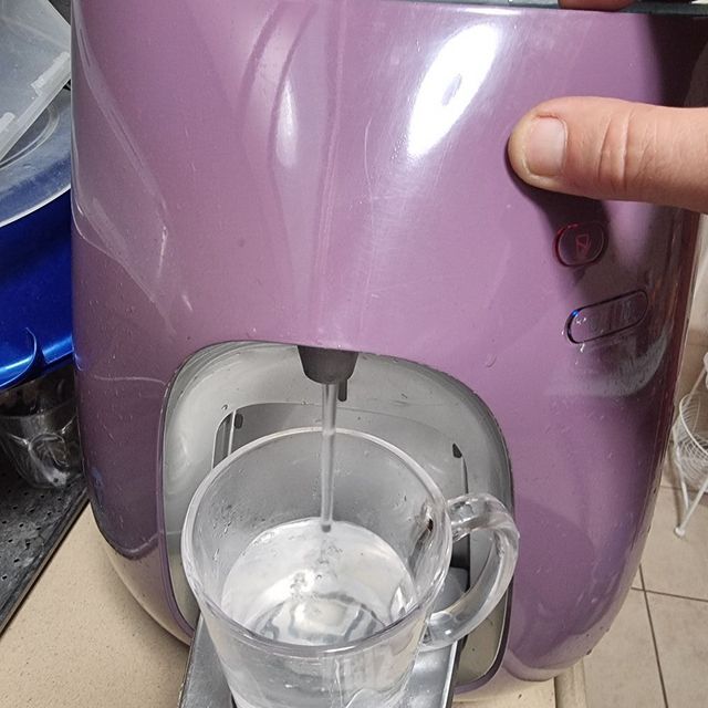 תמי 4 פרימו