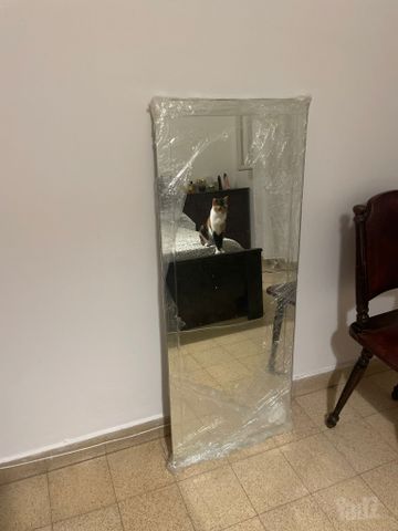 מראה