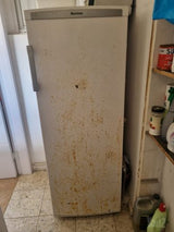 הר מצדה