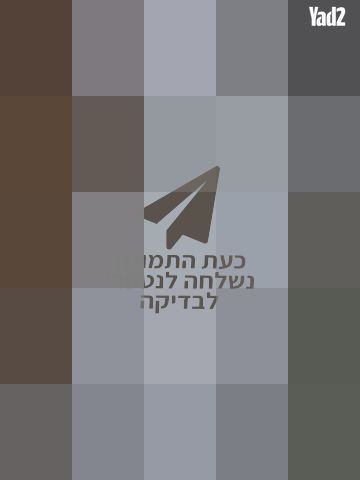 מדיח כלים