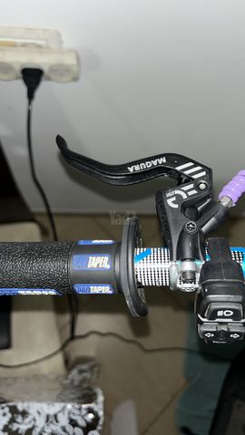 נאמי סטלר 52v