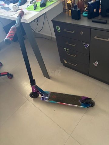 סקוט פעלולים