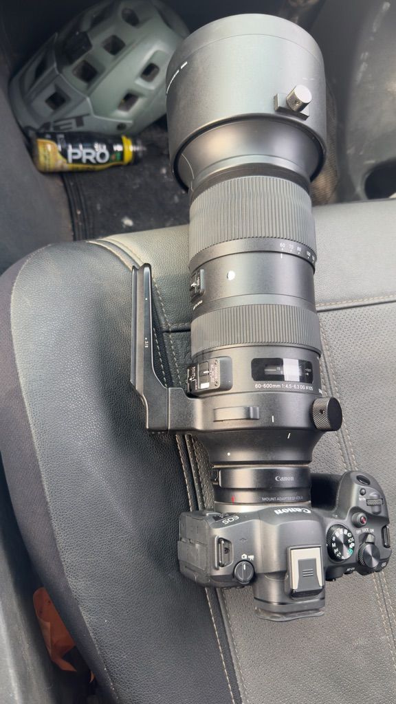 מצלמת קנון r6mark 2