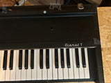 HOHNER PIANET T