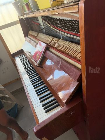 פסנטר  עתיק