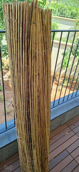 גדר במבוק 150×500