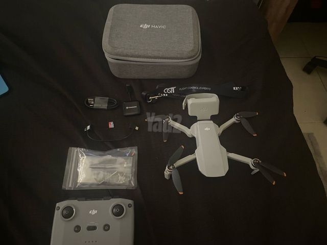 Mini 2 se