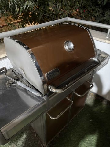 מנגל גז Weber genesis