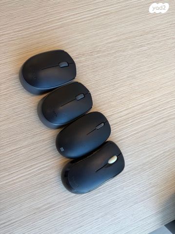 4  עכברים