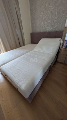 Doctor Gav electric double bed