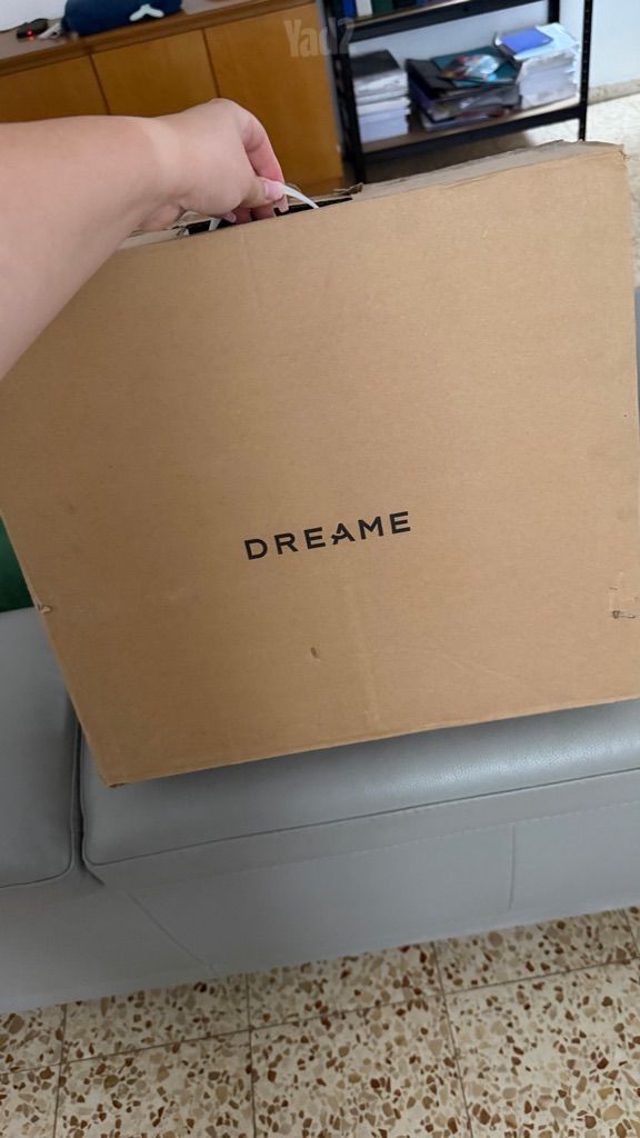 Dreame f10
