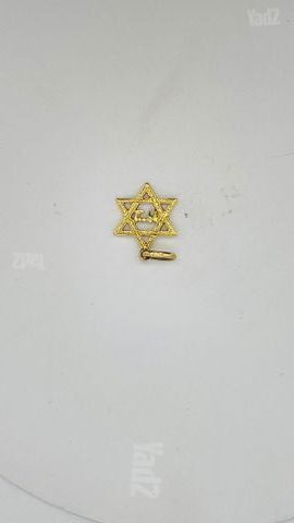 תכשיתים