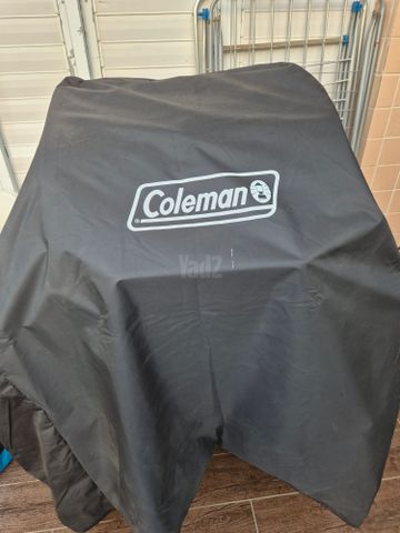 גריל גז