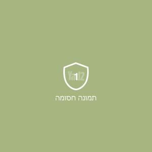 NINTENDO נינטנדו ds xl